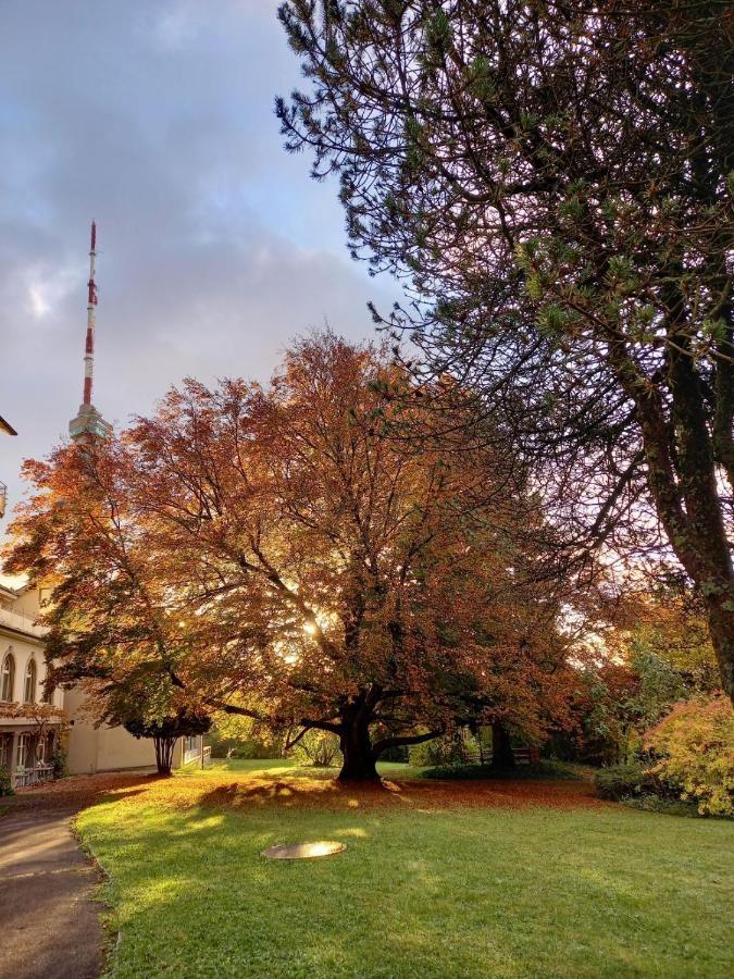 Отель Chrischona Berg Bettingen Экстерьер фото
